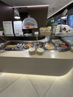 IMG_0721.jpeg IMG_0721.jpeg