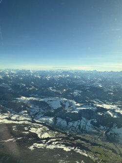 IMG_0739.jpeg IMG_0739.jpeg