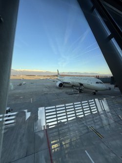 IMG_0726.jpeg IMG_0726.jpeg