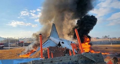 IMG_5942.jpeg IMG_5942.jpeg