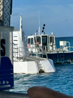 IMG_8611.JPG IMG_8611.JPG