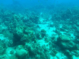 IMG_8621.JPG IMG_8621.JPG