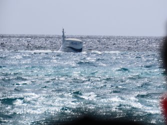 IMG_8317.JPG IMG_8317.JPG