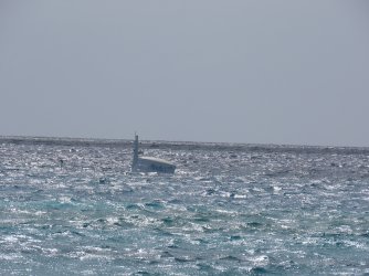 IMG_8319.JPG IMG_8319.JPG