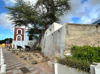 IMG_8699.JPG IMG_8699.JPG