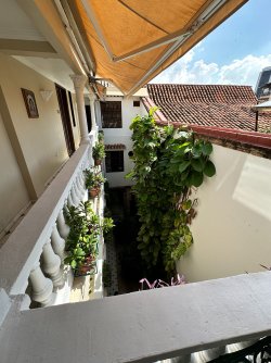 IMG_8864.JPG IMG_8864.JPG