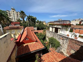 IMG_8868.JPG IMG_8868.JPG