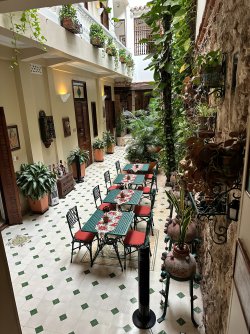 IMG_8960.JPG IMG_8960.JPG