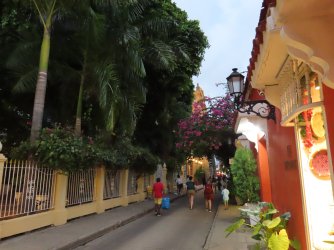 IMG_8361.JPG IMG_8361.JPG