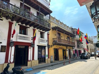 IMG_8875.JPG IMG_8875.JPG