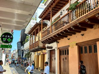 IMG_8877.JPG IMG_8877.JPG