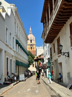 IMG_8894.JPG IMG_8894.JPG