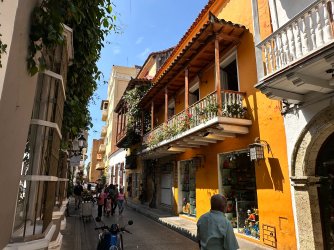 IMG_8924.JPG IMG_8924.JPG