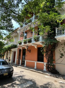 IMG_8873.JPG IMG_8873.JPG