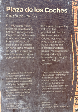 1735601590250.png 1735601590250.png