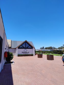 IMG_20241230_133841338_AE.jpg IMG_20241230_133841338_AE.jpg