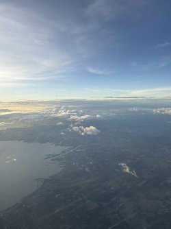 IMG_9474.jpeg IMG_9474.jpeg