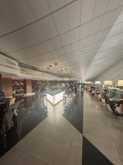 IMG_0748.jpeg IMG_0748.jpeg