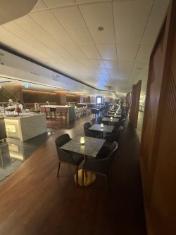 IMG_0747.jpeg IMG_0747.jpeg