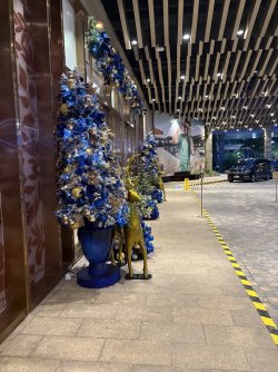 IMG_9492.jpeg IMG_9492.jpeg