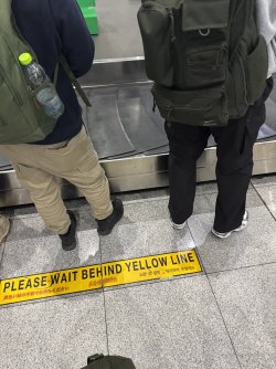 IMG_0764.jpeg IMG_0764.jpeg