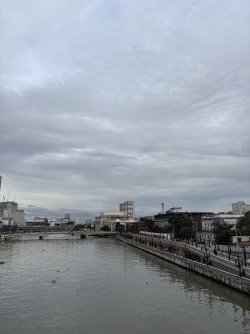 IMG_9532.jpeg IMG_9532.jpeg