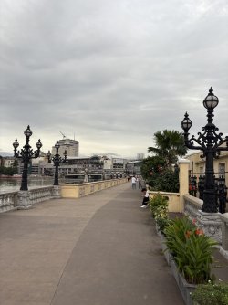IMG_9534.jpeg IMG_9534.jpeg