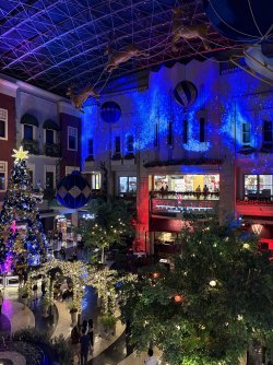 IMG_9544.jpeg IMG_9544.jpeg