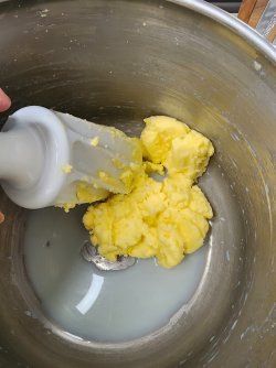 20250101_120505.jpg 20250101_120505.jpg