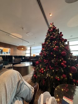 IMG_0766.jpeg IMG_0766.jpeg