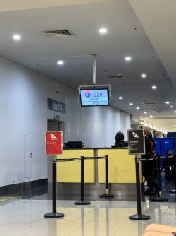 IMG_0768.jpeg IMG_0768.jpeg