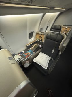 IMG_0771.jpeg IMG_0771.jpeg