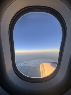 IMG_0782.jpeg IMG_0782.jpeg