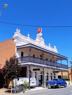 IMG_20241231_102342459_AE.jpg IMG_20241231_102342459_AE.jpg