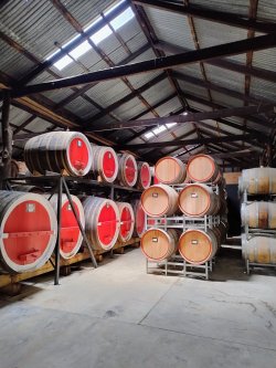 IMG_20241231_125405684_HDR_AE.jpg IMG_20241231_125405684_HDR_AE.jpg