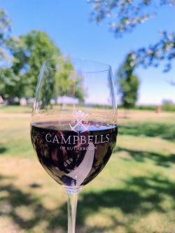 IMG_20241231_132152450_AE.jpg IMG_20241231_132152450_AE.jpg