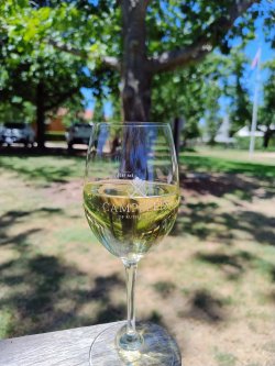 IMG_20241231_132238157_AE.jpg IMG_20241231_132238157_AE.jpg