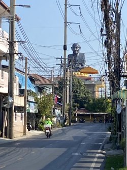 IMG_2241.jpeg IMG_2241.jpeg