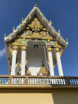 IMG_2256.jpeg IMG_2256.jpeg