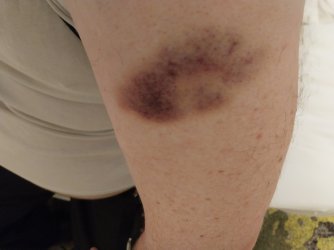 20250101_125337.jpg 20250101_125337.jpg