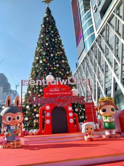 20250101_091018.jpg 20250101_091018.jpg