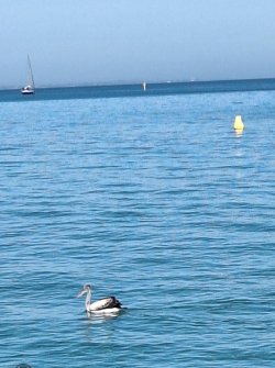 Screenshot_20250104_101419_Gallery.jpg Screenshot_20250104_101419_Gallery.jpg