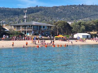 20250104_091917.jpg 20250104_091917.jpg