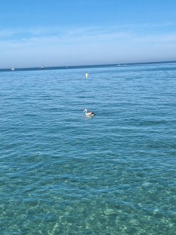 20250104_091700.jpg 20250104_091700.jpg