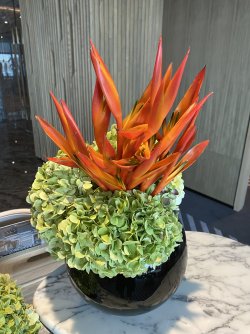 IMG_2270.jpeg IMG_2270.jpeg