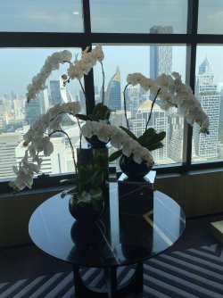 IMG_2273.jpeg IMG_2273.jpeg