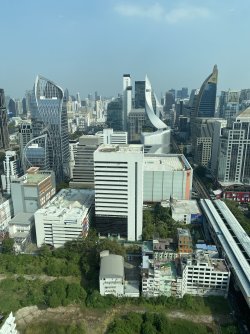 IMG_2272.jpeg IMG_2272.jpeg