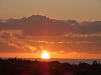 1736111471093.jpeg 1736111471093.jpeg