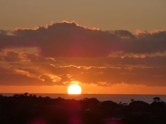 1736111489123.jpeg 1736111489123.jpeg