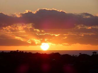 1736111507028.jpeg 1736111507028.jpeg